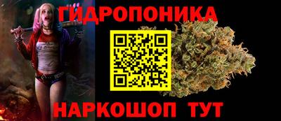 мяу мяу мука Ярославль