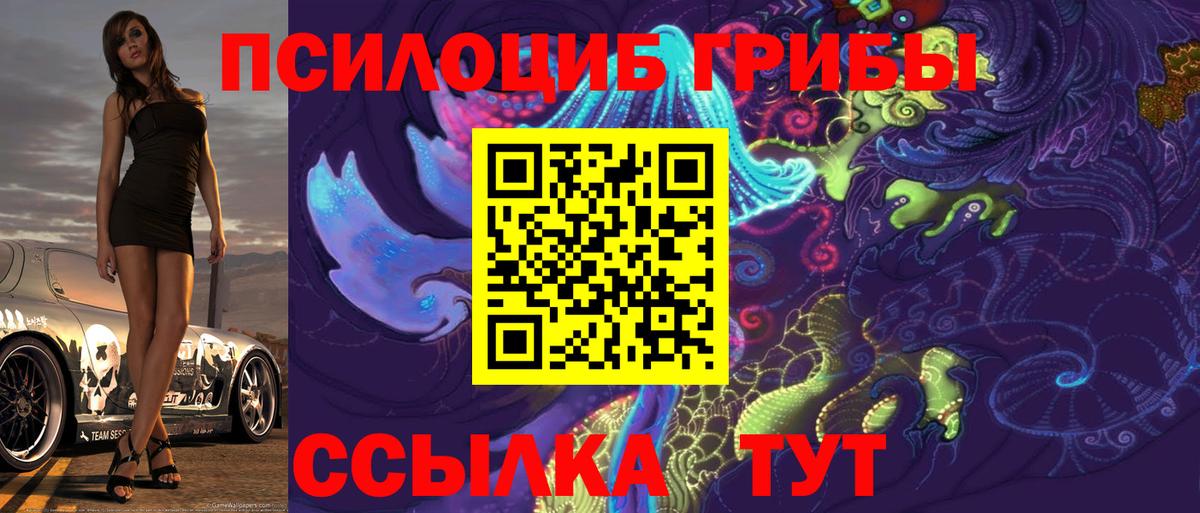 Псилоцибиновые грибы GOLDEN TEACHER  Вход с VPN  Ржев 