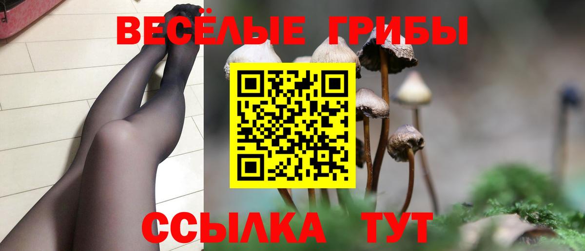 Псилоцибиновые грибы Cubensis Ржев